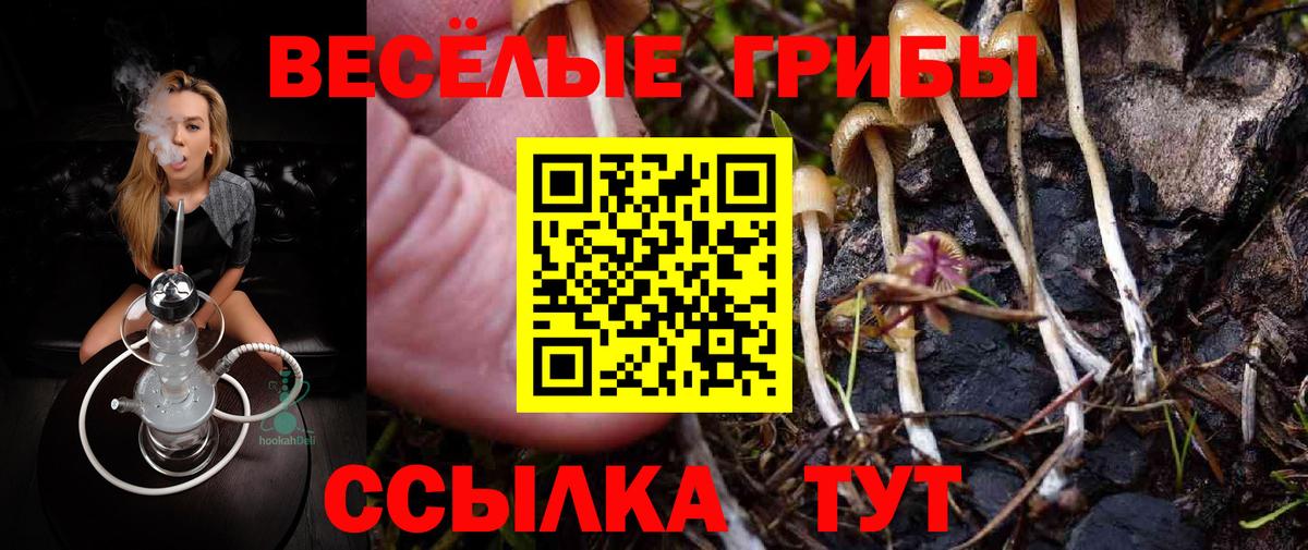 Галлюциногенные грибы MAGIC MUSHROOMS  Вход с VPN  Лиски  Галлюциногенные грибы Psilocybine cubensis 